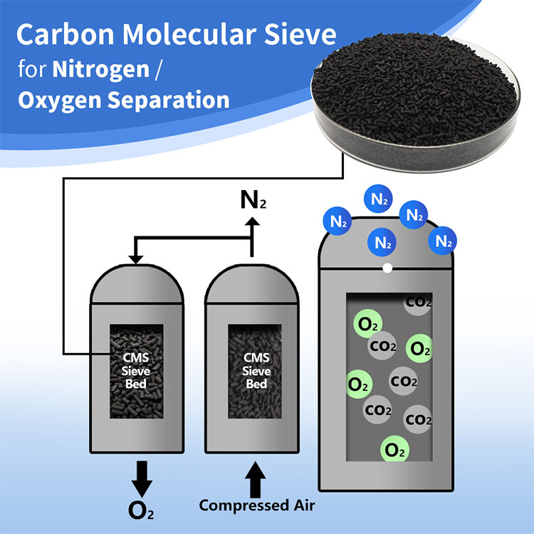 Carbon Molecular Sieve