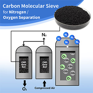 Adsorption performance of carbon molecular sieve