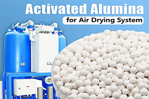 How to choose the adsorbent for dryer?